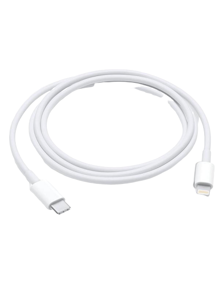 foudre câble - type C 1 m d'Apple